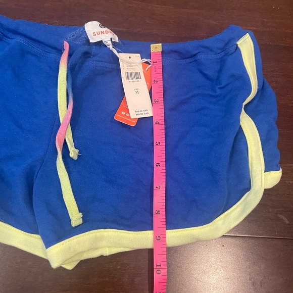 nwt sundry Blue Shorts with Trim medium - Picture 4 of 5